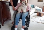 67403353_427263794546029_320578394787938304_n