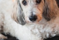 D47201C8-CCA0-4A0A-BFF1-B9508890C99F