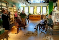 18697832_10213074752444103_1971268511_o